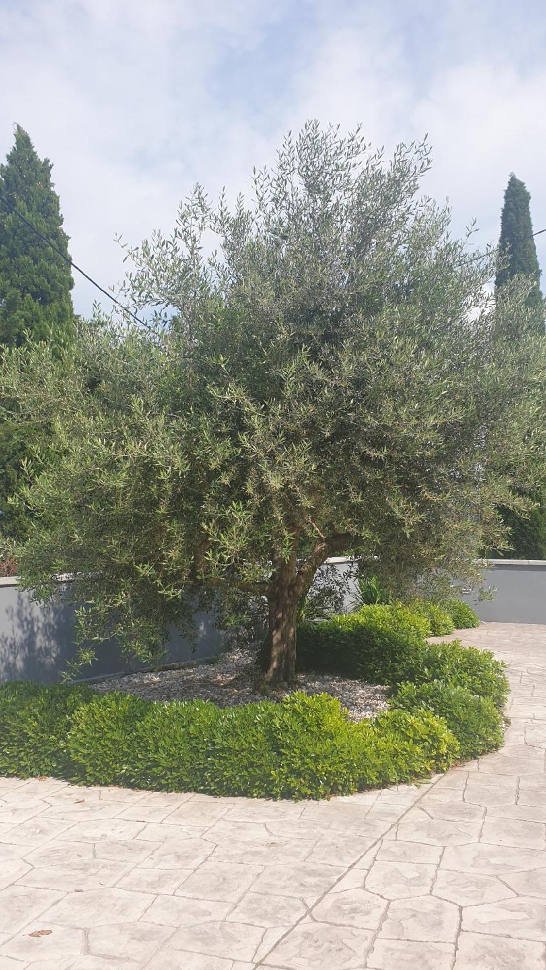 Apartma Pata, Koper - Cezarji ภายนอก รูปภาพ